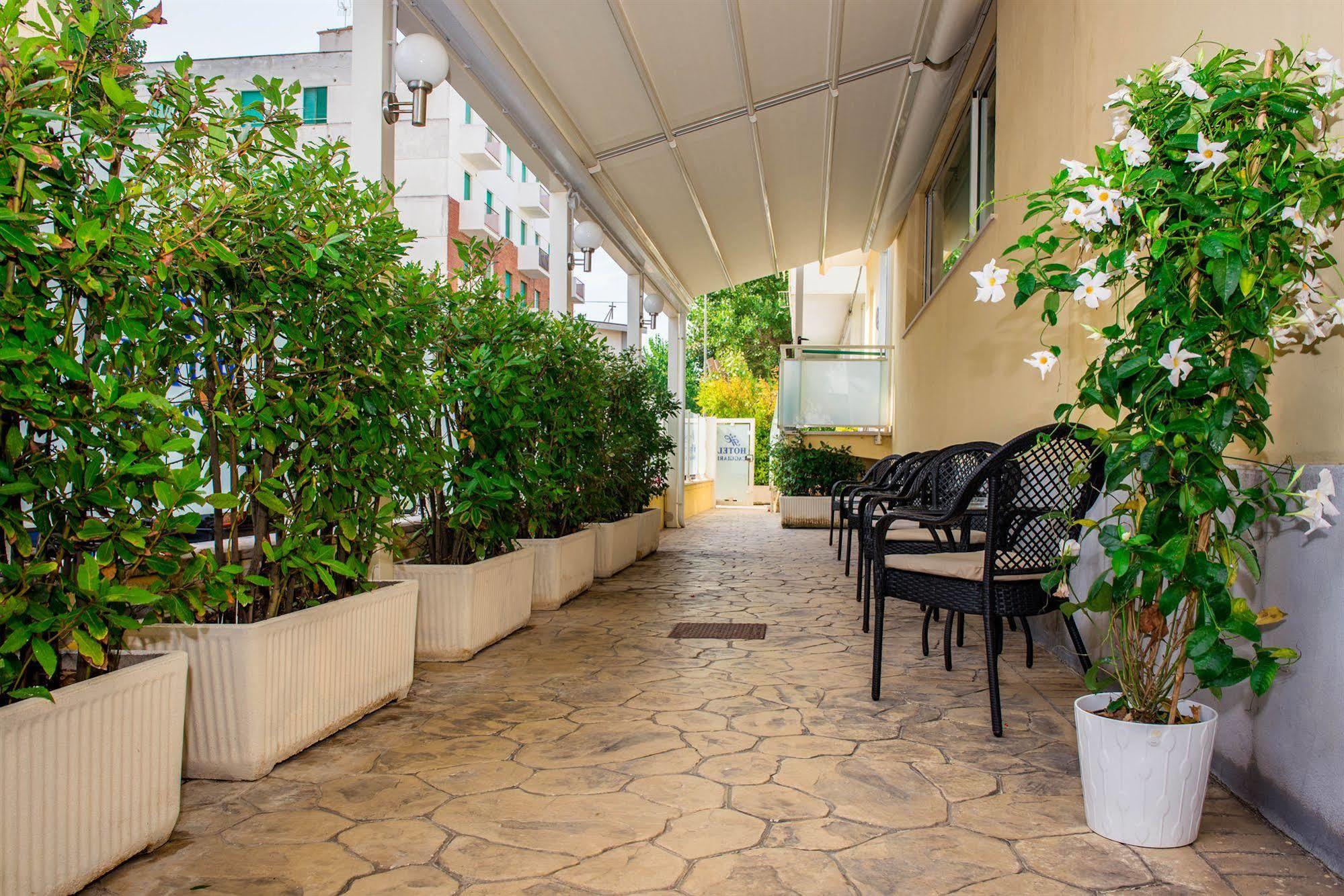 Hotel Caggiari 세니갈리아 외부 사진